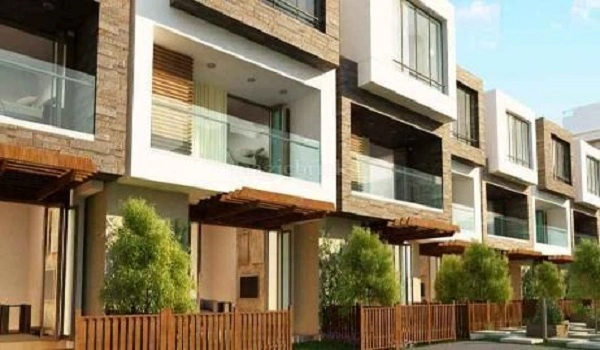 Arvind Expansia Arvind Expansia